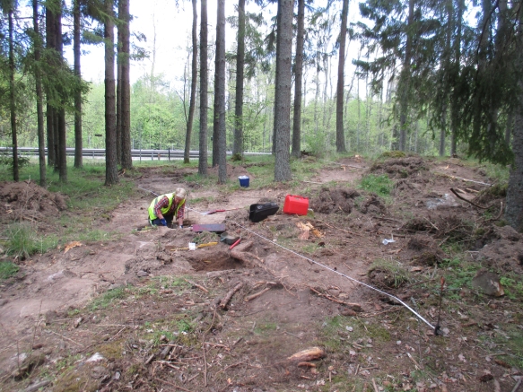 En arkeolog gräver en provruta
